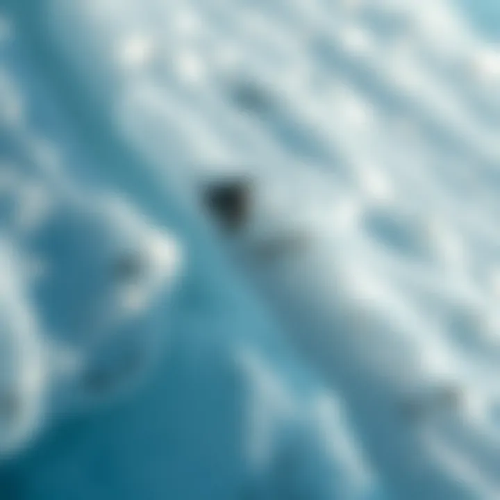 Close-up of glacial ice revealing intricate textures and hues.