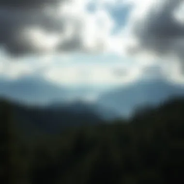 A panoramic view capturing the surrounding lush landscape of the Juneau area.