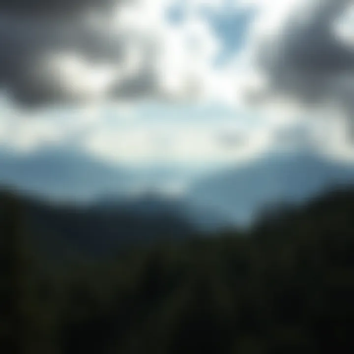 A panoramic view capturing the surrounding lush landscape of the Juneau area.