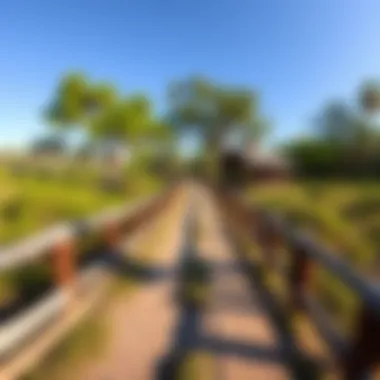 Serene Bayou Trail Panoramic view of a serene bayou trail in Louisiana