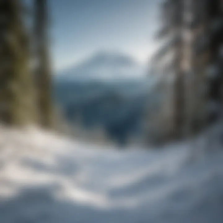 A breathtaking view of Mount Baker covered in snow