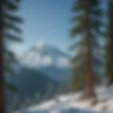 A breathtaking view of Mount Baker's snow-capped peak against a clear blue sky