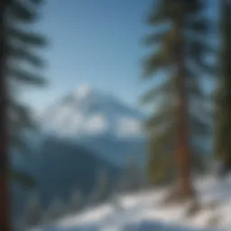 A breathtaking view of Mount Baker's snow-capped peak against a clear blue sky