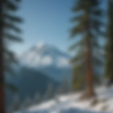 A breathtaking view of Mount Baker's snow-capped peak against a clear blue sky