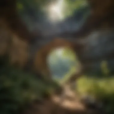 Gateway to the Underground: Nature's Doorway Cave entrance surrounded by lush Ozark forest