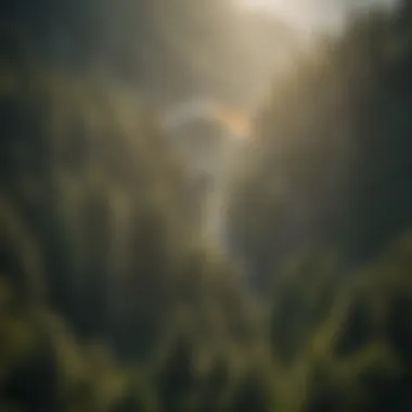 A paraglider soaring above a lush forest in Washington