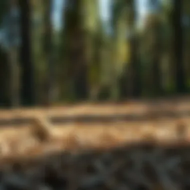 Comparison of wood fiber with other surfacing materials