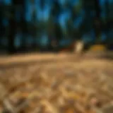 Natural playground wood fiber surfacing in use