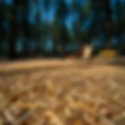 Natural playground wood fiber surfacing in use