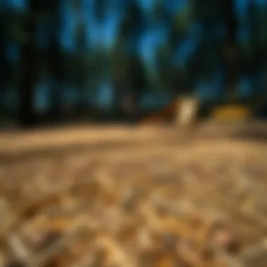 Natural playground wood fiber surfacing in use