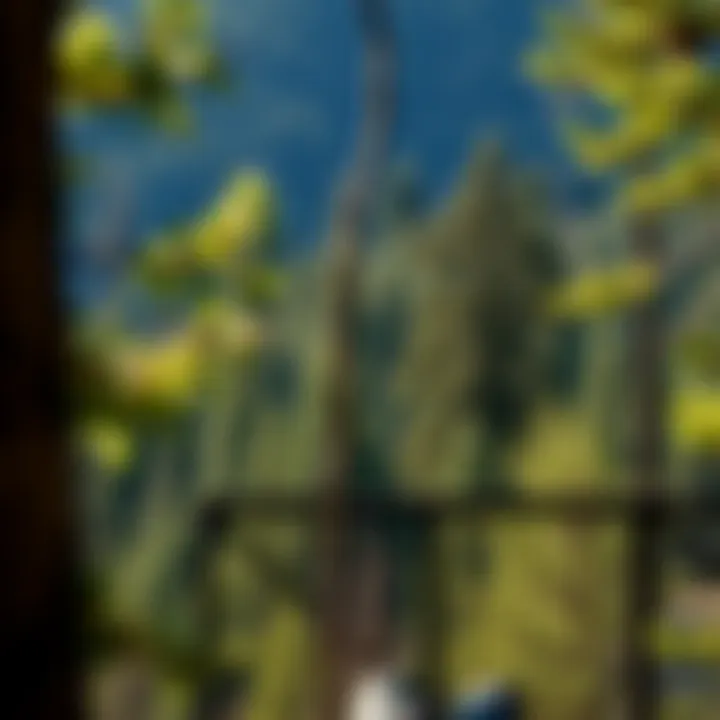 Map highlighting zoning laws and regulations in Plumas County