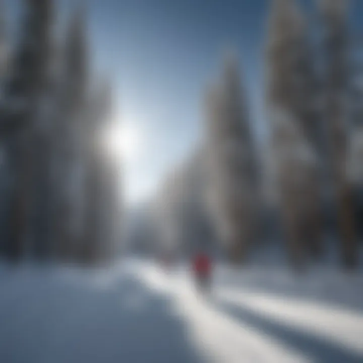 Skiers enjoying a sunny day at Red River ski resort.