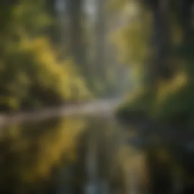 A diverse range of wildlife thriving in Salmon Creek