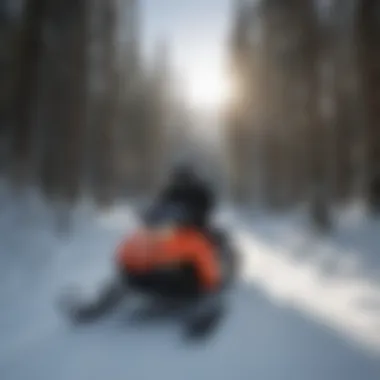 Sustainable Practices in Snowmobiling Winter landscape conservation efforts around Mt. Hood
