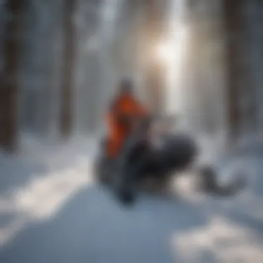 Trail maintenance crew working in the snow