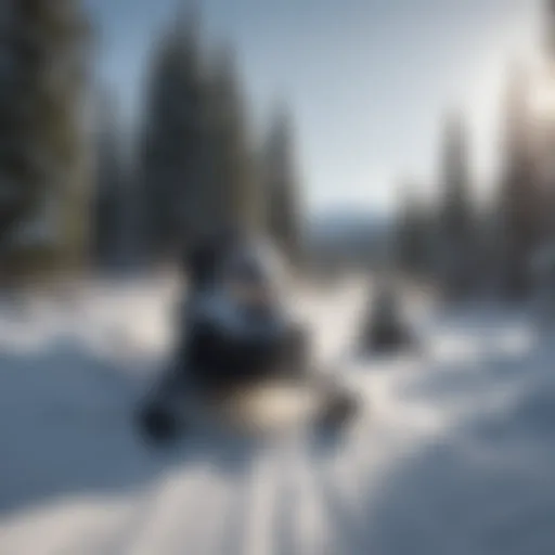 Snowmobiles traversing through a snowy landscape in Fraser County