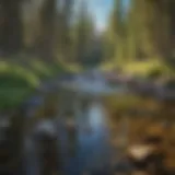 Crystal clear waters of a pristine trout stream in Idaho