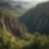 Scenic view of the Black Hills with diverse trees and rock formations