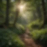 Lush greenery of the Black Mountains showcasing diverse plant life