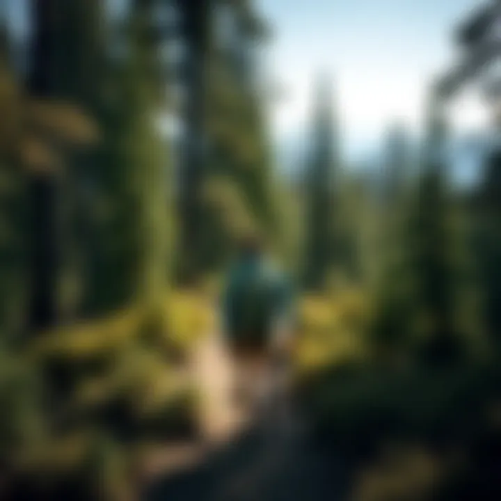 A hiker exploring a trail near the campground