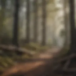 Destruction of a forest habitat