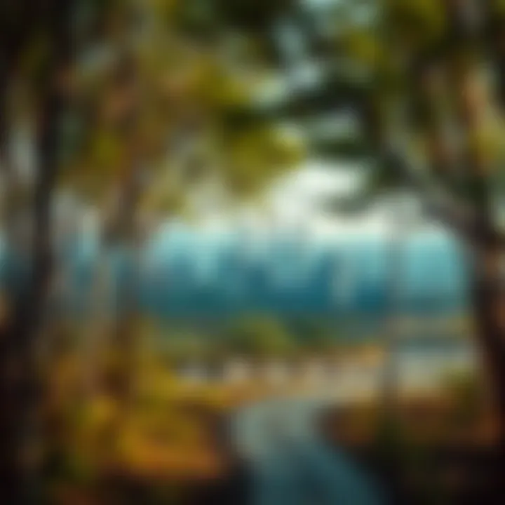 Sources of Urban Pollution A graphic illustration showing various sources of urban pollution including vehicles and industrial activities