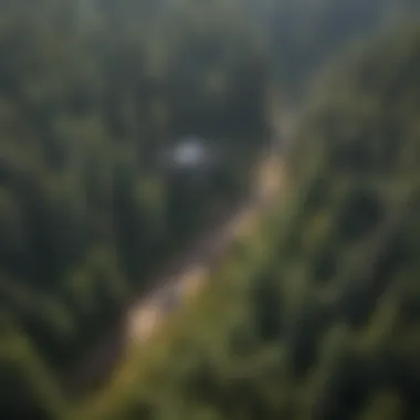 A quadcopter surveying a dense forest area