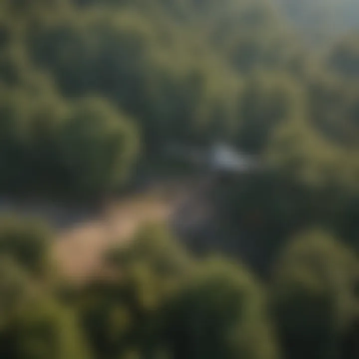 Quadcopter monitoring wildlife in a forest habitat