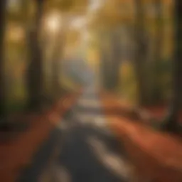 Stunning view of Finger Lakes Trail during autumn foliage