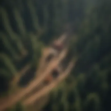 Sustainable Forest Harvesting Practices An aerial view of a forest being harvested sustainably with log harvesters.