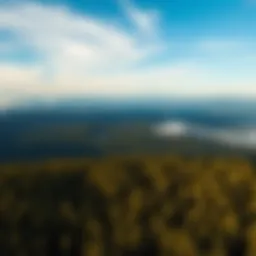Aerial view of the Great Bear Forest showcasing diverse landscapes