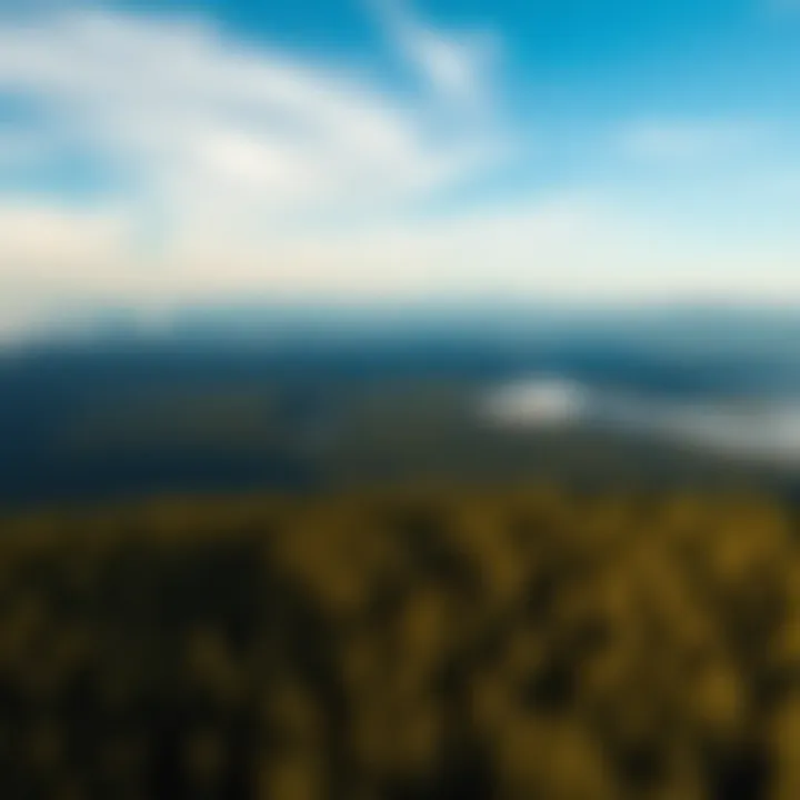 Aerial view of the Great Bear Forest showcasing diverse landscapes