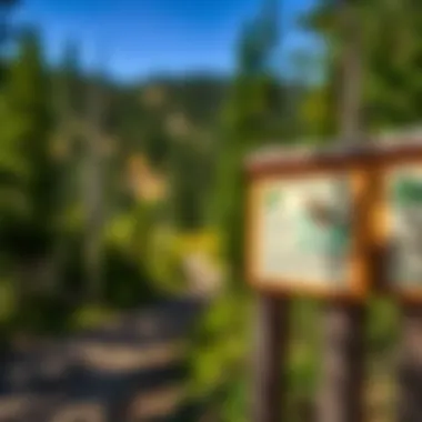 Ecological signs highlighting the flora and fauna on the trail