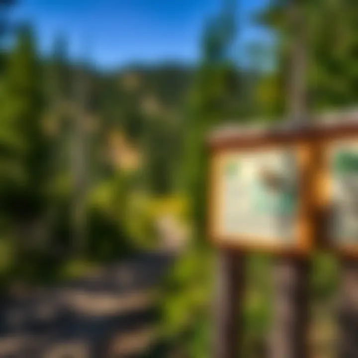 Ecological signs highlighting the flora and fauna on the trail