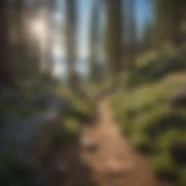 Hikers enjoying a picturesque trail along Lake Tahoe's shoreline