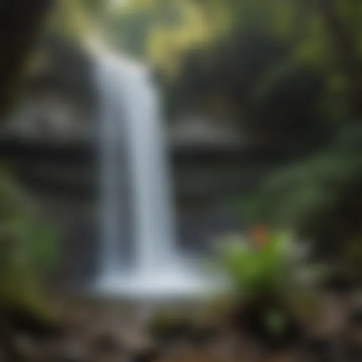 Close-up of unique flora thriving near a waterfall