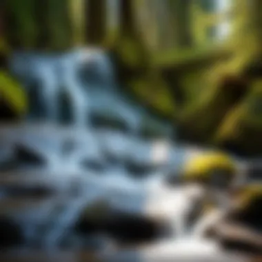 A pristine waterfall cascading over moss-covered rocks in Southern Oregon's lush forest.