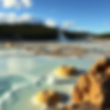 A striking view of the geothermal features in West Yellowstone