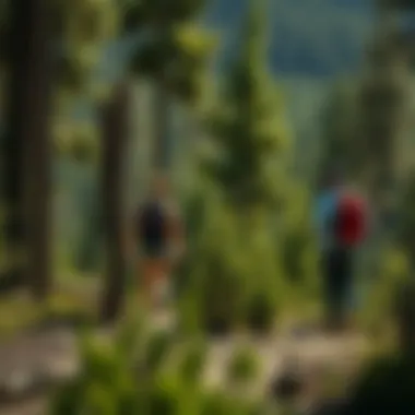 Visitors engaging in responsible recreational activities in the park