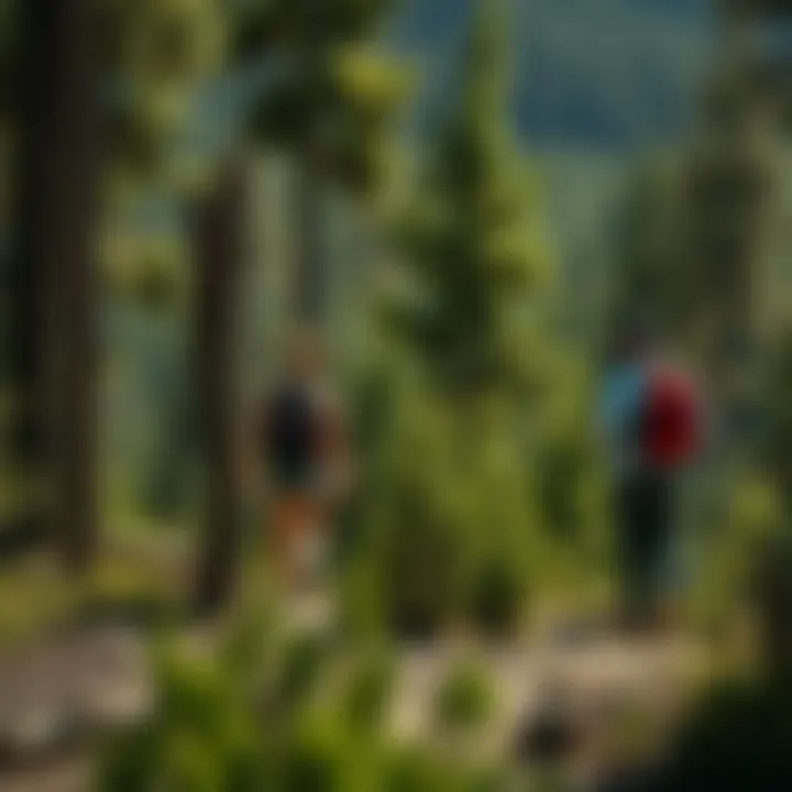 Visitors engaging in responsible recreational activities in the park