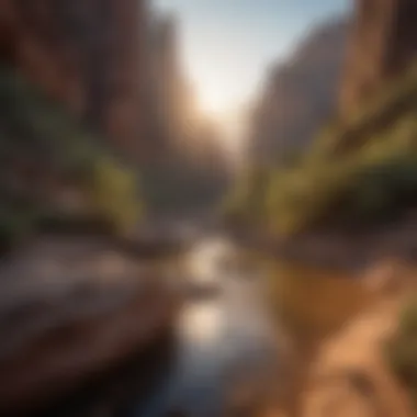 A breathtaking view of a wild canyon at sunrise showcasing natural rock formations