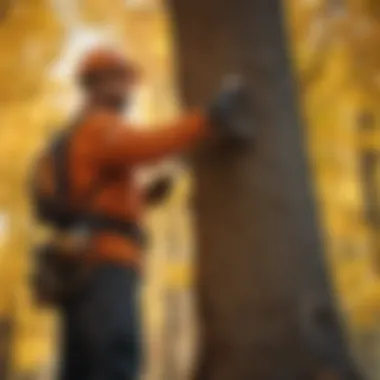 A skilled arborist trimming a tree