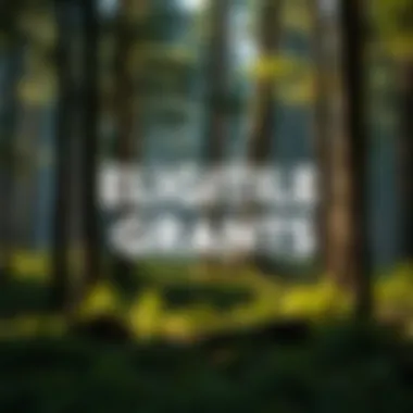 Visual representation of eligibility criteria for federal grants