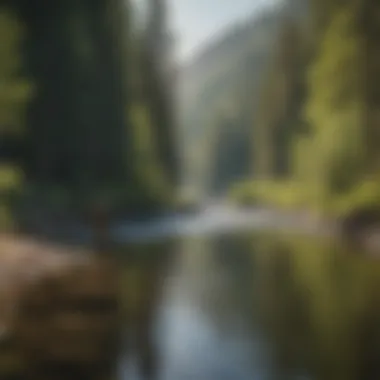 Angler casting a line in a picturesque river