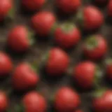 Close-up view of Fragaria vesca seeds showcasing their unique texture and color.