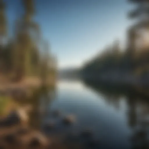 A panoramic view of Big Bear Lake surrounded by lush pine forests.