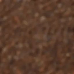 Close-up view of diverse tree seeds on a wooden surface