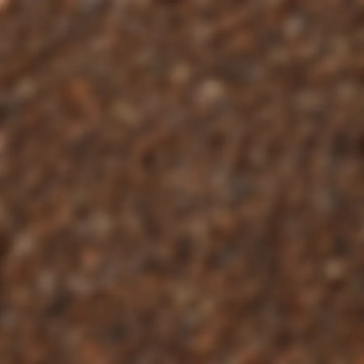 Close-up view of diverse tree seeds on a wooden surface