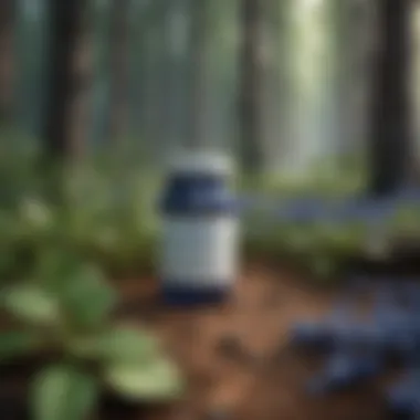 Ecological Benefits of Indigo Cream A conceptual illustration depicting the ecological benefits of indigo cream in forestry.