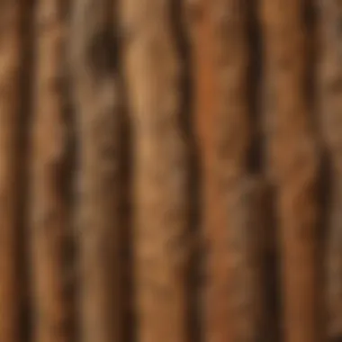 Understanding Moisture Content in Wood Products Close-up of wood product showing moisture levels